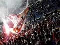 Torcida Tigão X lagartixa Torcida Tigão X lagartixa