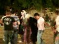 Meva Live ne debresh