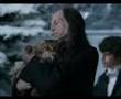 Проф. Лебединский про Гарии Поттера: Little Lucies. (Rus)