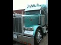 379 Peterbilt