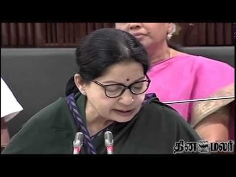 Dinamalar - Tamilnadu Chief Minister Jayalalithaa on New School - Dinamalar July 30th 2014 Tamil Video News.