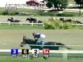 ARLINGTON PARK, 2008-08-20, Race 1