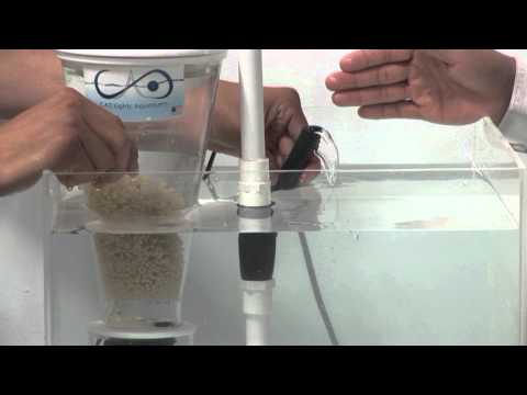 how to eliminate phosphates in aquarium