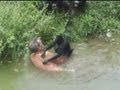 ZOO ATTACK: Drunk man bitten by spider monkeys in Brazil