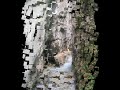 Sibillini - Gola dell\ Sibillini - Gola dell\