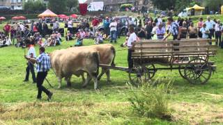 Fête de la fenaison et du battage 2015