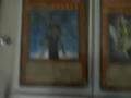 YuGiOh Trade binder ----- UPDATED