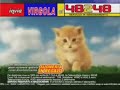 gattino virgola cantata da vasco rossi gattino virgola cantata da vasco rossi