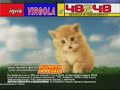 gattino virgola cantata da vasco rossi
