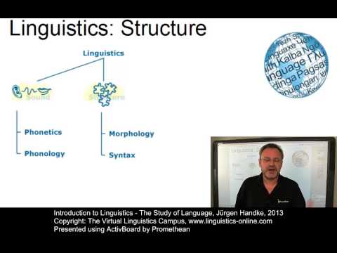an introduction to the importance of studying a language Studying linguistics language structure is studied by linguists at several theoretical levels that range in size from tiny units of speech sounds to the. an introduction to the importance of studying a language Studying linguistics language structure is studied by linguists at several theoretical levels that range in size from tiny units of speech sounds to the.