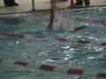 videos de 100yd Backstroke