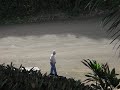 Hawaiian Speed Walker