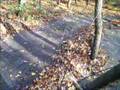 videos de rustler jump