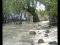 Pantai di Kepulauan Seribu Pantai di Kepulauan Seribu