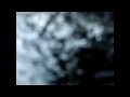 TangerineDream