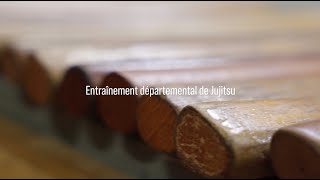 Entraînement départemental de Jujitsu animé par Florent Pelletier le jeudi 28 novembre 2024