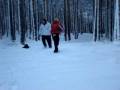 movidas en la nieve
