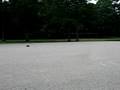 LB Bashing w/ Novak 8.5 Pro + LiPo #2