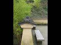 zen-transitions.html