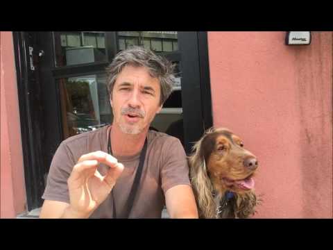 Raw Diet for Dogs : Protein, Fat and Bone