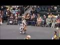 Manito Ahbe Mens Grass Dance Special 2008