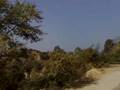 Dps Jalandhar students biking to himachal