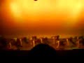 N.E.R.D. - lapdance ( cultureel centrum zwaneberg )
