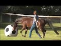 dressage naturally - Atomic Soccer dressage naturally - Atomic Soccer