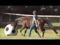 dressage-naturally-A