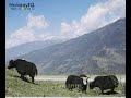 Arunachal Pradesh Videos, Arunachal Pradesh, India Arunachal Pradesh Videos, Arunachal Pradesh, India