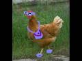 videos de A CaF Tale - BobLarryJeff