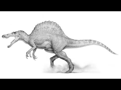 Spinosaurus