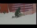 Achtung, Ski-Hund!