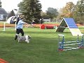 Kobi\ Kobi\