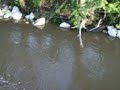 -Otherside of fishin' spot