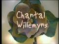 CHANTAL WILLEMYNS idées coiffure chignons à Montauban