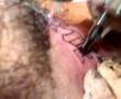 TATTOO LIVE MOVIE 6-VERY PAINFUL/SCRITTA GOTICA SULLA GOLA