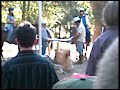 LVSR Horse Flag Ceremony Friday Night