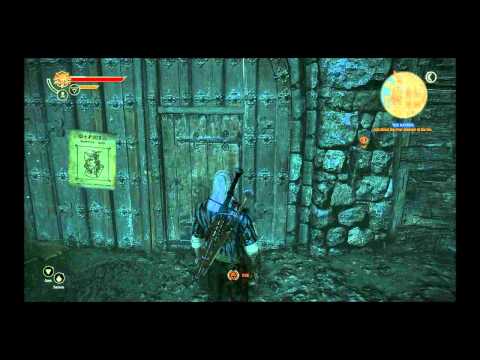 The Witcher 2 : Assassins of Kings