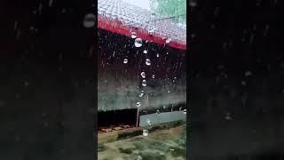 Happy Rainy Day Whatsapp status