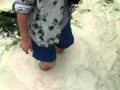 ������ι�Ԥ���13��������Ȥ����ԡ�:YouTube������=22��