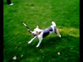 VIDEO_002 VIDEO_002