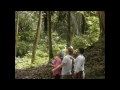 Belize_set_3.avi