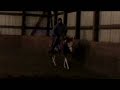 Hez Just Zippin -06 overo Colt FOR SALE-SOLD
