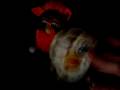 videos de dream team: cops: the furbee edition