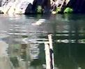 Grande Salto Do Cabril
