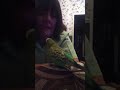 Pixie dancing - Olly Murs - Dance with me tonight