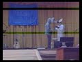 Talento celestial-El robagozo 4