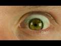 videos de Kiekejan Animation