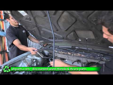 How to install change a Hood for 1998 1999 2000 2001 2002 Honda Accord REPLACEMENT REPLACE Diy